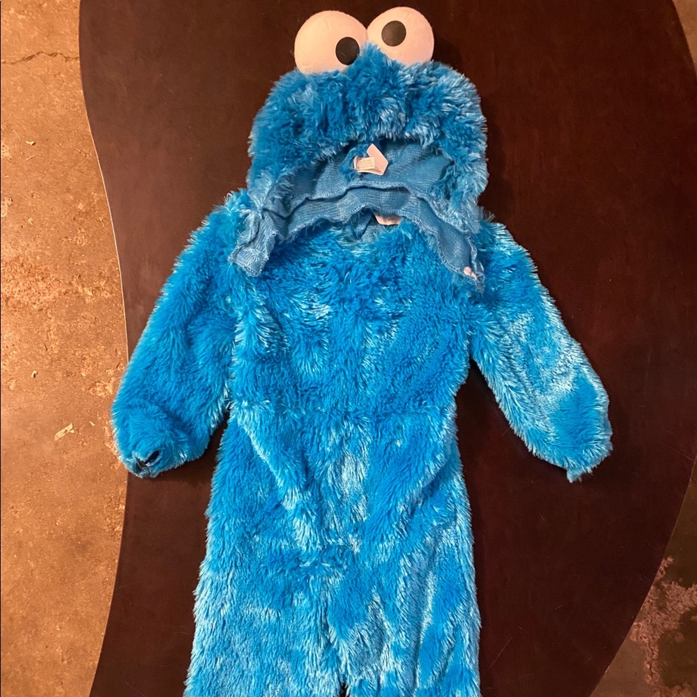 Cookie Monster Halloween costume!